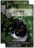 Sow Right Seeds - Catnip Seed for Planting - Popular Herb for Happy Cats - Non-GMO Heirloom Packet with Instructions to Plant and Grow - A Gift fo...