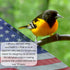 Nectar Fortress™ Natural Ant Repellent; Multi-Purpose Clear Gel Ant Guard for Hummingbird Feeders (Twin)...