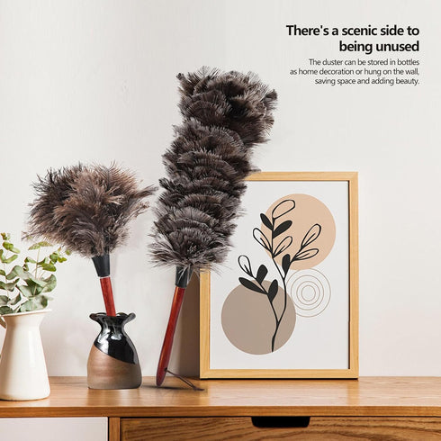 Ostrich Feather Duster (Set of 2), 14-Inch, Indulge in Effortless Elegance with Premium Reusable Design for Thorough, Eco-Friendly Cleaning at Hom...