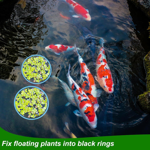 5pcs Aquarium Floating Plant Rings, Foam Round Fish Feeding Rings 5 Size Floating Plant Corral Fish Tank Food Ring Keep Floating Plants in Place (...
