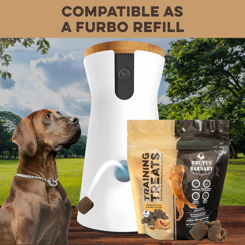 BRUTUS & BARNABY Training Treats for Dogs - Peanut Butter & Honey - All-Natural Healthy Low Calorie Vegetarian Treat - Great to Use for Rewards in...