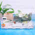 2 Pack Large Hermit Crab Water Tank,Hermit Crab Pool with Climbing Ramps,Hermit Crab Accessories Hermit Crab Salt Water for Medium or Large Hermit...