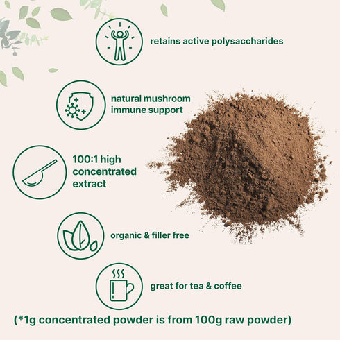 Micro Ingredients Organic Reishi Mushroom Extract, 16 oz | 100:1 Red Reishi | Supports Immunity, Mood & Stress Relief | Great for Tea, Tonic & Dai...