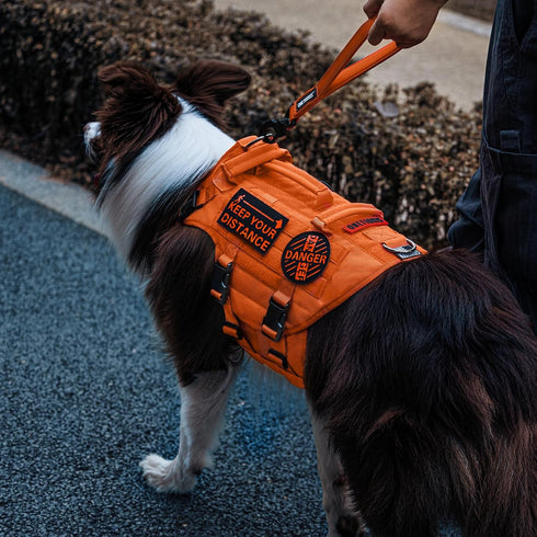 OneTigris Bolt Short Traffic Dog Leash for Small Medium Large Dogs(Orange,M)...