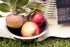 Fox Run Brands 1/2-Quart Stainless Steel Mixing Bowl, Silver...