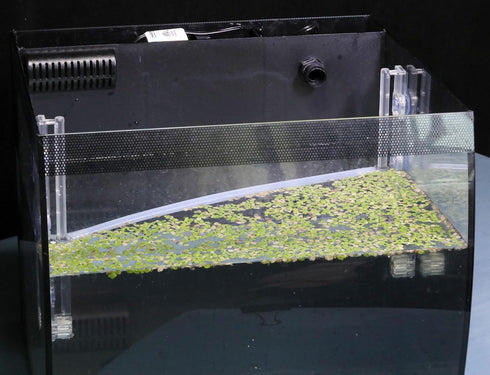 Aquarium Floating Plant Corral, As The Water Level Risers and Falls Automatically...