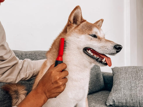 Tuff Pupper Deep Knot and Mat Remover Tool | Dematting Comb, Brush For Dogs, Cats, Small Animals | Remove Difficult Knots From Long Haired Dogs, S...