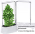 vacane Herb Keeper for Refrigerator, Fresh Herb Saver Herb Storage Containers, Cilantro Container for Fridge Asparagus Container, Dishwasher Safe...