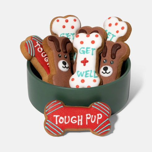 Thoughtfully Pets, Get Well Dog Cookies Gift Set, Crunchy Dog Treats Includes Colorfully Hand Decorated Get Well Themed Dog Biscuits to Brighten T...