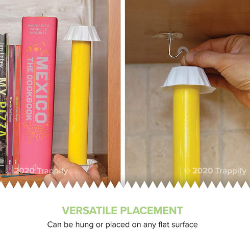 Trappify Hanging Fly Traps Outdoor: Fruit Fly Traps for Indoors | Gnat Traps for House Indoor | Fly Trap Indoor - Disposable Sticky Fly Trap for I...