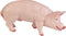 Safari Ltd. Boar Figurine - Realistic, Lifelike 4.25" Model Figure - Fun and Educational Toy for Boys, Girls & Kids Ages 3+...