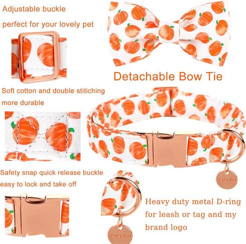 Halloween Dog Collar with Bow Tie, Pumpkin Cotton Bowtie Collar for Puppy Girl Boy Dog or Cat, Fall Dog Collar Bowtie with Metal Buckle, Adorable ...