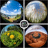 Phone Camera Lens, 198 Fisheye Lens + 120 Super Wide-Angle Lens + 20x Macro Lenses Camera Photography Accessories kit Gadgets for iPhone Samsung A...