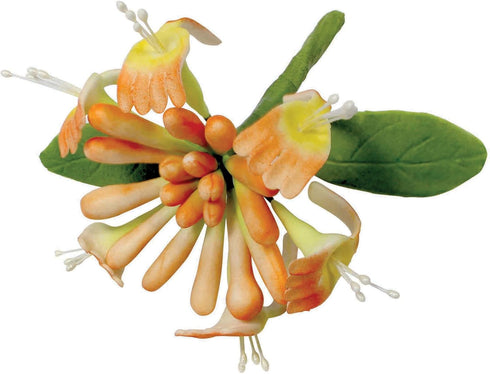 PME Honeysuckle Cutters, Set of 3, White, 5 x 5 x 5 cm...