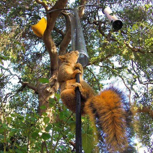 2 PCS Metal Squirrel Baffle, Squirrel Barrier Spring Coil Guard Protects Hanging Bird Feeders for Outdoor Poles...