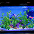 Aquarium Decorations Plants, 25pcs Aquarium Decor Green Plants with Natural Shells, Fish Tank Accessories, Fish Tank Large Plant Plastic Decoratio...