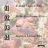 Borsari Seasoned Salt Combo - Multi-Use All Purpose Original and Cracked Pepper Seasonings - Gourmet Sea Salt Blends With Herbs and Spices - Glute...