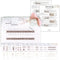 Embroidery Cards For Beginners Adults Kids, Learn 11 Basic Stitches DIY Kits, Includes Pre Perforated Cards, Easy to Follow Instructions, Clear Pa...