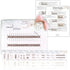 Embroidery Cards For Beginners Adults Kids, Learn 11 Basic Stitches DIY Kits, Includes Pre Perforated Cards, Easy to Follow Instructions, Clear Pa...