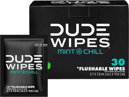 DUDE Wipes - On-The-Go Flushable Wipes - 1 Pack, 30 Wipes - Mint Chill Extra-Large Individually Wrapped Adult Wet Wipes - Eucalyptus & Tea Tree Oi...