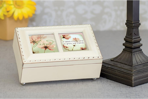 Cottage Garden Friend Takes a Long Time to Grow Matte Ivory Jewelry Music Box Plays What Friends are for...