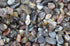 Fantasia Materials: 1/2 lb Tumbled Grey Botswana Agate Stones from Africa - 1" to 1.25" avg. (Size #7)...