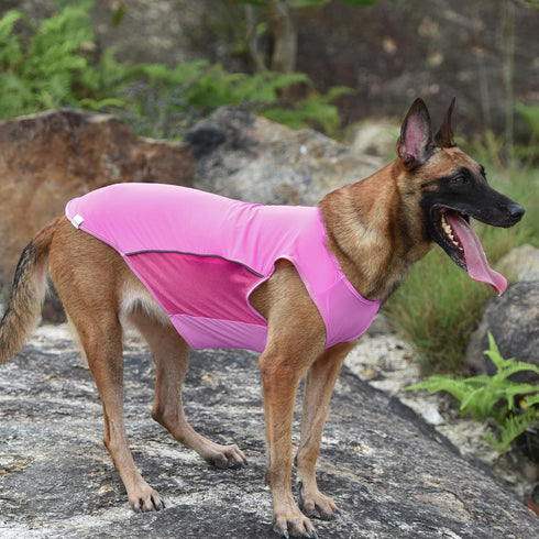 2 Pack UPF 50+ Sun Protection Dog Shirt,Sports Fan Pet T-Shirts for Small Dogs Girl, Lightweight Dog Tshirts with Reflective Strip Sleeveless Pupp...