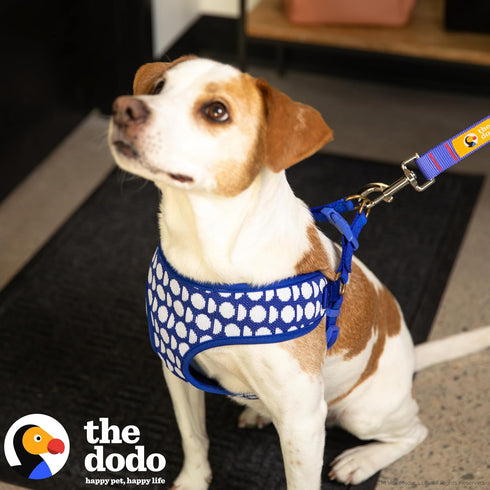 The Dodo Dog Harness, Blue Dodo Print, Size Medium; Easy Step-in Harness for Dogs; Breathable Mesh Fabric; Snap-Together, Pinch Release Buckle, Ri...