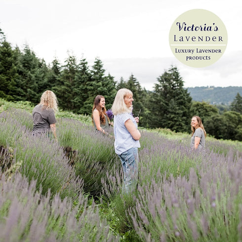 Victoria's Lavender Organic “Don’t Bug Me” Insect Spray, Made with Plant Based Essential Oils & Aloe Vera … (4 oz Single)...