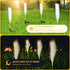 Solar Outdoor Garden Lights, 2 Pack LED Lights Waterproof, Sway by Wind Simulation Reed Lights Decoration for Garden Patio Walkway Pathway Yard (W...