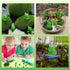 50 Pcs Mini Frog Garden Decor | Green Frog Figurines | Miniature Home Décor | Tiny Plastic Frogs | Fairy Garden Decor...