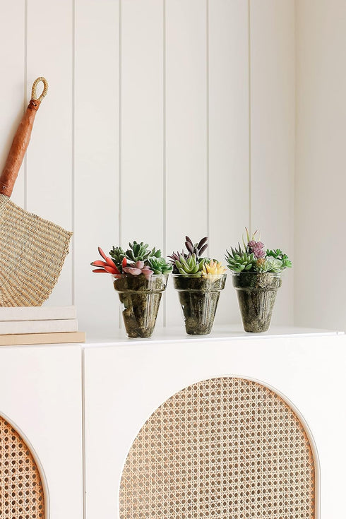 Artificial Succulent Plants - 18 Pack - Premium Fake Plants - Double Flocked Succulents - Realistic Textured Cactus - Face Succulent Plants - Mini...