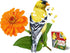 Madd Capp Puzzles - I AM Goldfinch - 300 Pieces - Animal Shaped Jigsaw Puzzle, Multi...