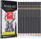 Professional Drawing Sketching Pencil Set - 14 Pieces,Graphite,(12B - 4H), Ideal for Drawing Art, Sketching, Shading, Artist Pencils for Beginners...