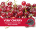 Refresh Your Car Air Freshener Vent Sticks, Very Cherry Scent, 6 Pack...