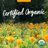 Herb Pharm Herbs on The Go Certified Organic Daily Calming Portable Spray, Adaptogenic Support*, 1 Ounce...