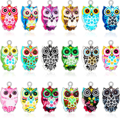 WILLBOND 18 Pieces Enamel Owl Charms Pendant Mixed Owl DIY Charm Jewelry Making Crafting Accessories for Necklace Bracelet Earring, 18 Colors...
