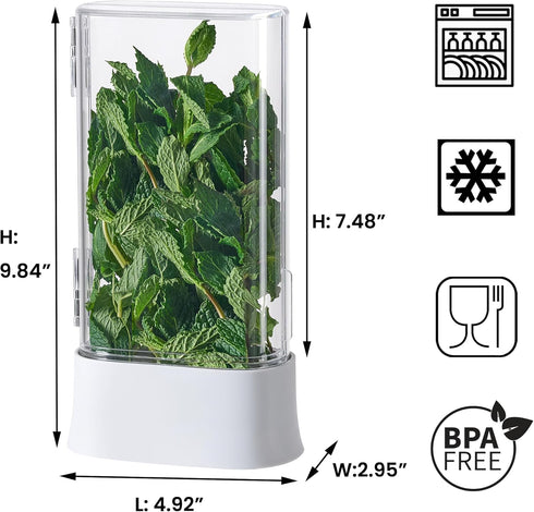 vacane Herb Keeper for Refrigerator, Fresh Herb Saver Herb Storage Containers, Cilantro Container for Fridge Asparagus Container, Dishwasher Safe...