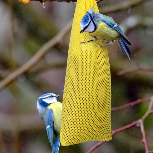 6 Pieces Finch Sock Feeder Finch Feeders without Seeds for Outdoors Hanging Thistle Bird Feeder for Finch Thistle Seed Bird (Yellow, 3.94 x 15.5 I...