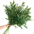 WILLBOND 8 Bundles Artificial Greenery Stems, Faux Olive Branches for Vases 43 Inch Tall Long Stem Olive Leaves Fake Plant for Floral Arrangement ...
