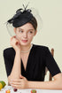 BABEYOND Fascinators Hat Veil Feather Hair Clip Tea Party Kentucky Pillbox Derby Bridal for Wedding...