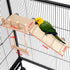 Bird Perches Platform Swing with Climbing Ladder, Parakeet Cage Accessories Wooden Playing Gyms Exercise Sturdy for Small Birds...