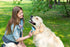 Dog Slicker Brush, Self Cleaning, Shedding and Grooming Tool for Pets, Best Dog Brush with Easily Retractable Bristles to Remove Hair Instantly...