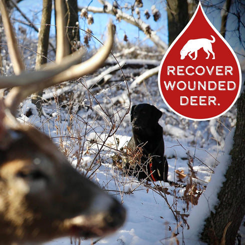DogBone BloodTrail Scent for Tracking Dog Training | Dog Training Kit | Hunting Dog Accessories | Dog Scent Training Kit | Deer Hunting Accessorie...