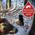 DogBone BloodTrail Scent for Tracking Dog Training | Dog Training Kit | Hunting Dog Accessories | Dog Scent Training Kit | Deer Hunting Accessorie...