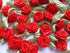 YYCRAFT Pack of 100 pcs Red Satin Ribbon Rose w/Leaf Wedding Bride Appliques/craft...