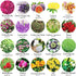 20 Bags Dried Flowers,100% Natural Dried Flowers Herbs Kit for Soap Making, DIY Candle Making,Bath - Include Rose Petals,Lavender,Don't Forget Me,...