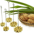 DOK JOK Brass Thai Flower Cookies Mold for Stylist Sunflower Crispy Biscuit Difference Size (8 cm)...