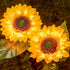 DAZZLE BRIGHT Sunflower Shape Solar LED Lights, 2 Pack Garden Waterproof Decorative with Stake for Outdoor Yard Pathway Outside Patio Lawn...