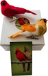 Westmon Works Cardinal Decor Set with Clip Male and Female Love Bird Cardinals with Story Card Boxed...